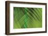 Tie Dye IV-Andrew Michaels-Framed Photographic Print