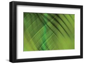 Tie Dye IV-Andrew Michaels-Framed Photographic Print