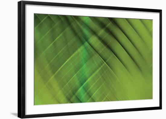 Tie Dye IV-Andrew Michaels-Framed Photographic Print