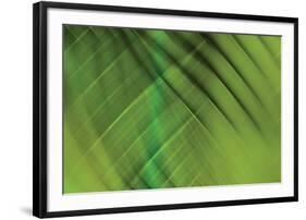 Tie Dye IV-Andrew Michaels-Framed Photographic Print