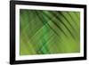 Tie Dye IV-Andrew Michaels-Framed Photographic Print