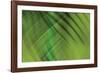 Tie Dye IV-Andrew Michaels-Framed Photographic Print