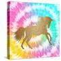 Tie Dye Unicorn 1-Allen Kimberly-Stretched Canvas