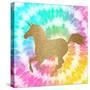 Tie Dye Unicorn 3-Allen Kimberly-Stretched Canvas