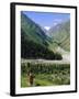 Tien Shan Mountains, Ala Archa Canyon, Kyrgyzstan, Central Asia-Upperhall Ltd-Framed Photographic Print