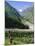 Tien Shan Mountains, Ala Archa Canyon, Kyrgyzstan, Central Asia-Upperhall Ltd-Mounted Photographic Print