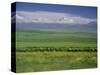 Tien Shan (Tian Shan) Mountains (Celestial Mountains), Kazakhstan, Fsu, Central Asia, Asia-N A Callow-Stretched Canvas