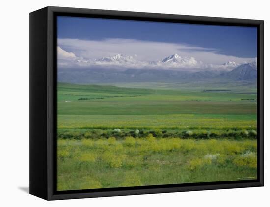 Tien Shan (Tian Shan) Mountains (Celestial Mountains), Kazakhstan, Fsu, Central Asia, Asia-N A Callow-Framed Stretched Canvas