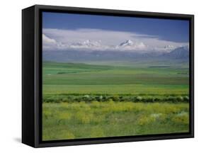 Tien Shan (Tian Shan) Mountains (Celestial Mountains), Kazakhstan, Fsu, Central Asia, Asia-N A Callow-Framed Stretched Canvas