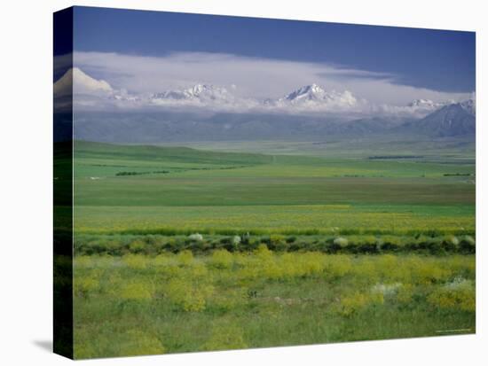 Tien Shan (Tian Shan) Mountains (Celestial Mountains), Kazakhstan, Fsu, Central Asia, Asia-N A Callow-Stretched Canvas