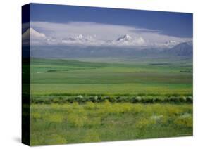 Tien Shan (Tian Shan) Mountains (Celestial Mountains), Kazakhstan, Fsu, Central Asia, Asia-N A Callow-Stretched Canvas