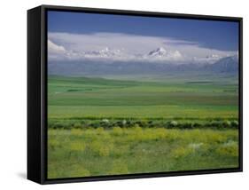 Tien Shan (Tian Shan) Mountains (Celestial Mountains), Kazakhstan, Fsu, Central Asia, Asia-N A Callow-Framed Stretched Canvas