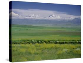 Tien Shan (Tian Shan) Mountains (Celestial Mountains), Kazakhstan, Fsu, Central Asia, Asia-N A Callow-Stretched Canvas