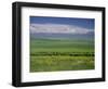 Tien Shan (Tian Shan) Mountains (Celestial Mountains), Kazakhstan, Fsu, Central Asia, Asia-N A Callow-Framed Photographic Print