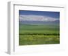 Tien Shan (Tian Shan) Mountains (Celestial Mountains), Kazakhstan, Fsu, Central Asia, Asia-N A Callow-Framed Photographic Print