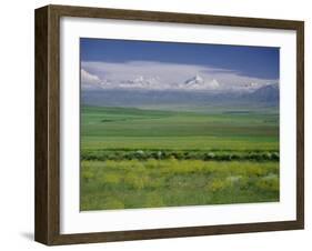 Tien Shan (Tian Shan) Mountains (Celestial Mountains), Kazakhstan, Fsu, Central Asia, Asia-N A Callow-Framed Photographic Print