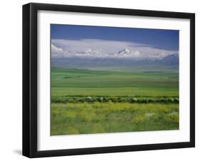 Tien Shan (Tian Shan) Mountains (Celestial Mountains), Kazakhstan, Fsu, Central Asia, Asia-N A Callow-Framed Photographic Print