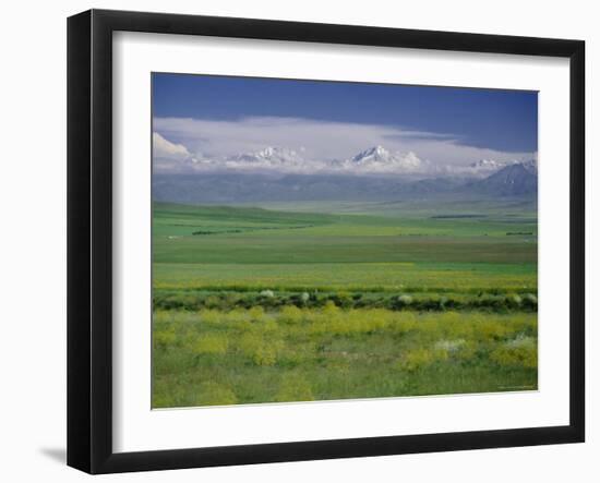 Tien Shan (Tian Shan) Mountains (Celestial Mountains), Kazakhstan, Fsu, Central Asia, Asia-N A Callow-Framed Photographic Print