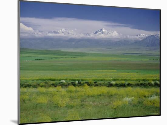 Tien Shan (Tian Shan) Mountains (Celestial Mountains), Kazakhstan, Fsu, Central Asia, Asia-N A Callow-Mounted Photographic Print