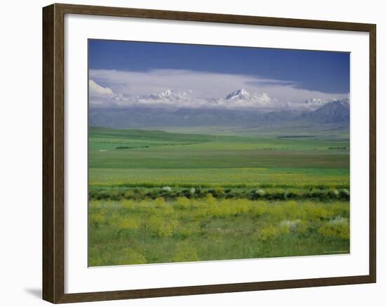 Tien Shan (Tian Shan) Mountains (Celestial Mountains), Kazakhstan, Fsu, Central Asia, Asia-N A Callow-Framed Photographic Print