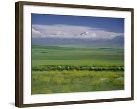 Tien Shan (Tian Shan) Mountains (Celestial Mountains), Kazakhstan, Fsu, Central Asia, Asia-N A Callow-Framed Photographic Print