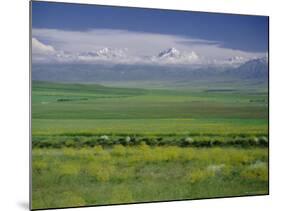 Tien Shan (Tian Shan) Mountains (Celestial Mountains), Kazakhstan, Fsu, Central Asia, Asia-N A Callow-Mounted Photographic Print