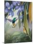 Tierra del Fuego Hummingbirds I-Julia Purinton-Mounted Art Print