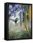 Tierra del Fuego Hummingbirds I-Julia Purinton-Framed Stretched Canvas