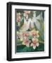 Tierra del Fuego Hummingbirds II-Julia Purinton-Framed Art Print