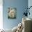 Tierra del Fuego Hummingbirds II-Julia Purinton-Stretched Canvas displayed on a wall