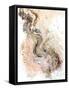 Tierra Rosa-Patricia Pinto-Framed Stretched Canvas