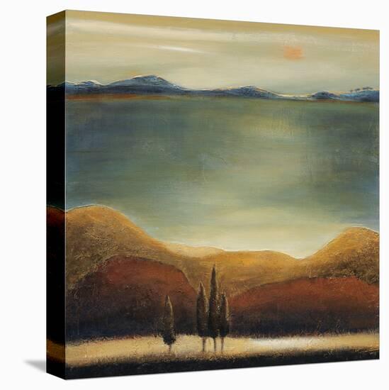 Tierra Sol-Ursula Salemink-Roos-Stretched Canvas