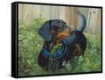 Canvas Black