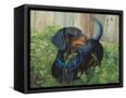 Canvas Black