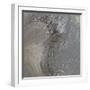White Frame