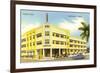 Tiffany Hotel, Miami Beach, Florida-null-Framed Premium Giclee Print