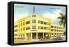 Tiffany Hotel, Miami Beach, Florida-null-Framed Stretched Canvas