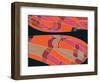 Tiffany Sherbet-Belen Mena-Framed Giclee Print