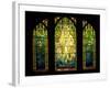 Tiffany Stained Glass Window-null-Framed Photographic Print