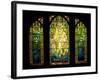 Tiffany Stained Glass Window-null-Framed Photographic Print