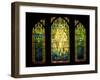 Tiffany Stained Glass Window-null-Framed Photographic Print