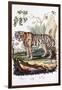 Tiger, 1794-null-Framed Giclee Print