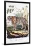 Tiger, 1794-null-Framed Giclee Print