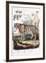 Tiger, 1794-null-Framed Giclee Print