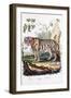 Tiger, 1794-null-Framed Giclee Print