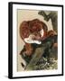 Tiger, 1803-Kiuho Toyei-Framed Giclee Print