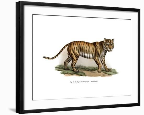 Tiger, 1860-null-Framed Giclee Print