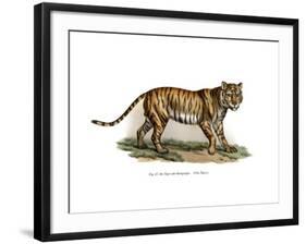 Tiger, 1860-null-Framed Giclee Print