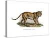 Tiger, 1860-null-Stretched Canvas