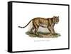 Tiger, 1860-null-Framed Stretched Canvas